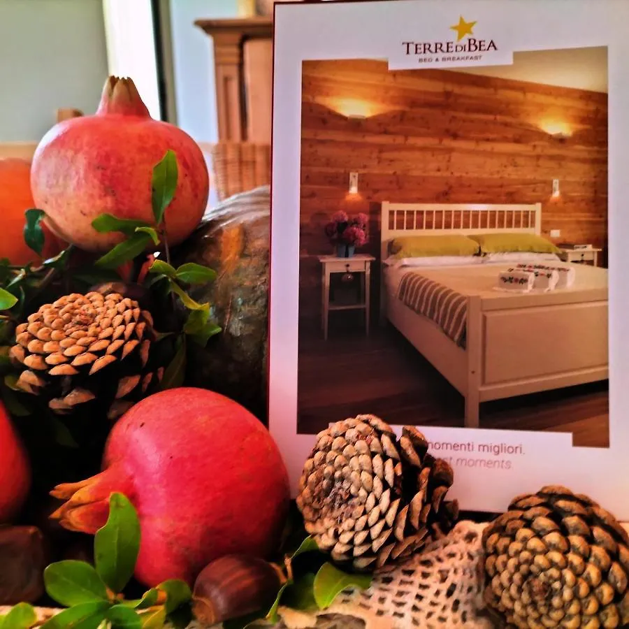 Pederobba B&B Terre Di Bea فندق مبيت وإفطار