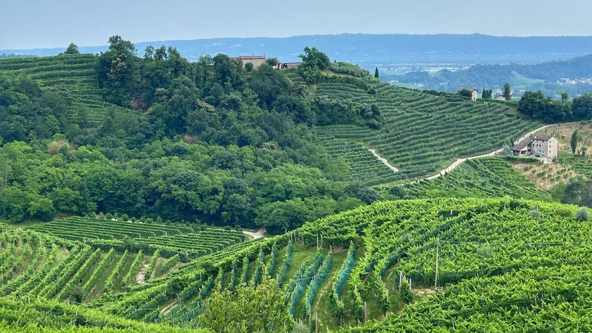 Pederobba B&B Terre Di Bea 0*,  إيطاليا