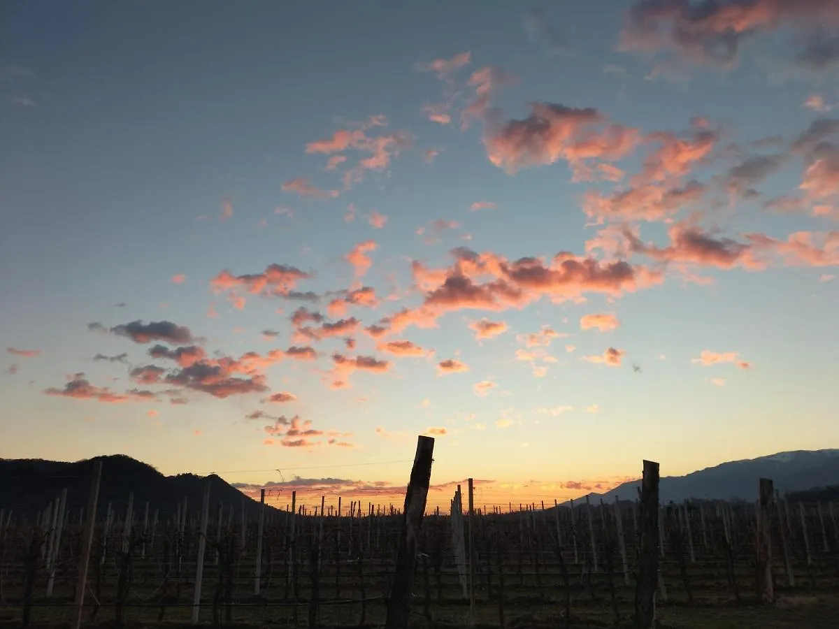 B&B Terre Di Bea Pederobba 0*,  Italien