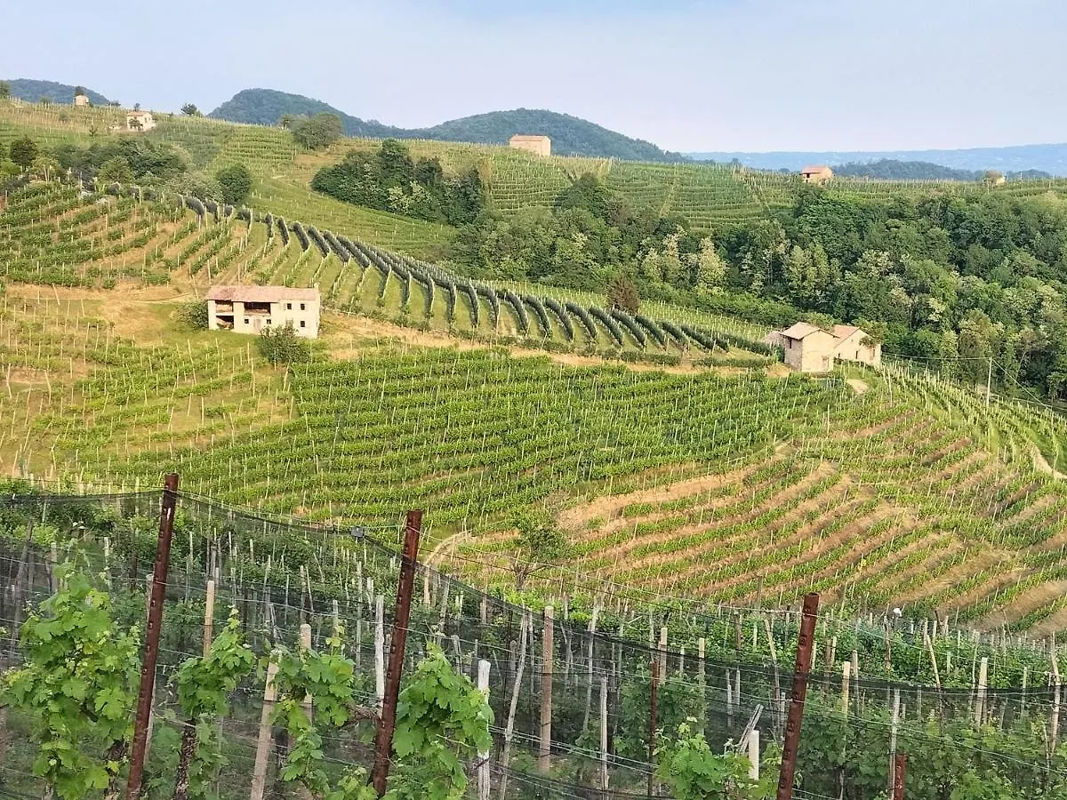 B&B Terre Di Bea Pederobba Frühstückspension