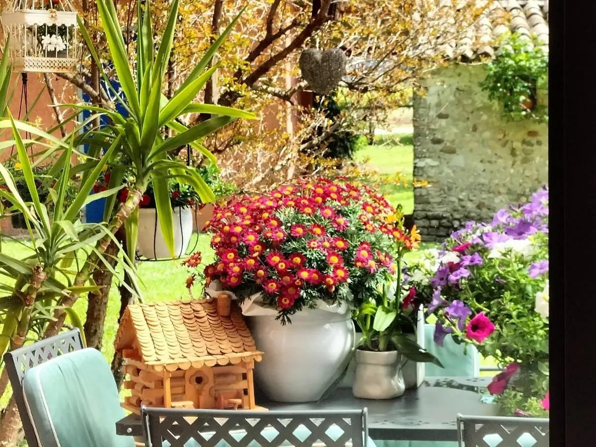 Frühstückspension B&B Terre Di Bea Pederobba