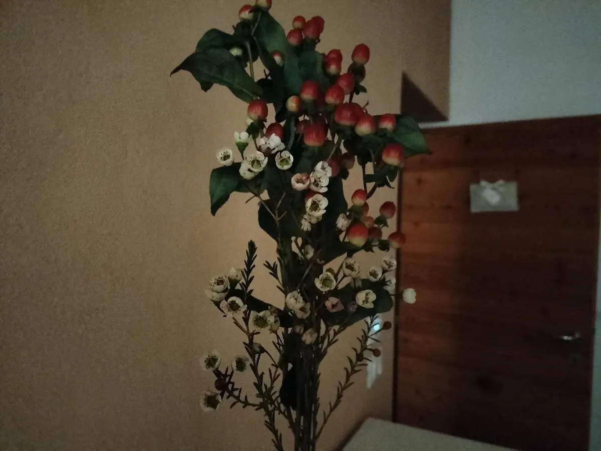 Frühstückspension B&B Terre Di Bea Pederobba