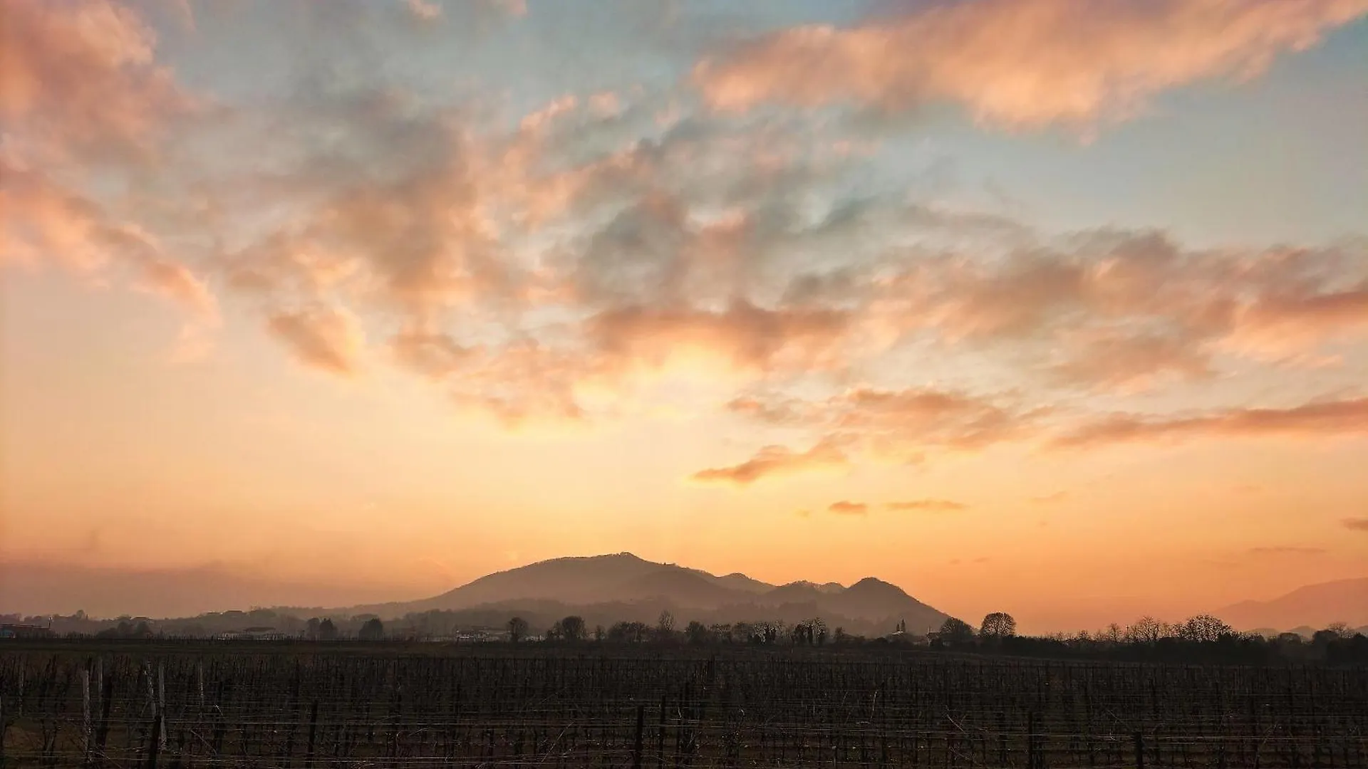 Frühstückspension B&B Terre Di Bea Pederobba Italien