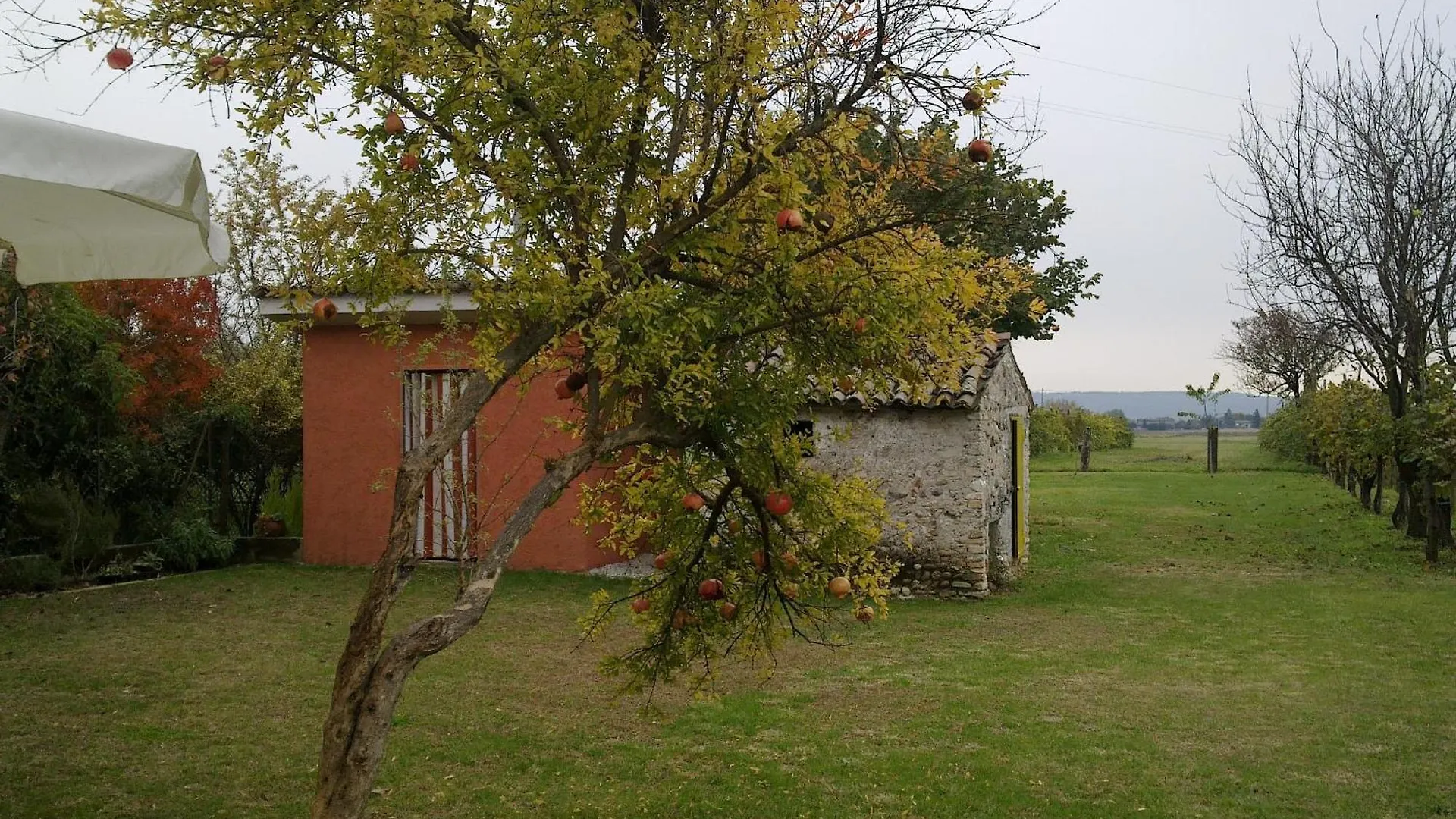 B&B Terre Di Bea Pederobba Italien