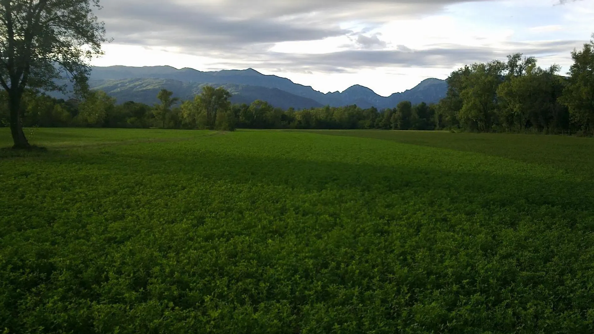 Frühstückspension B&B Terre Di Bea Pederobba Italien