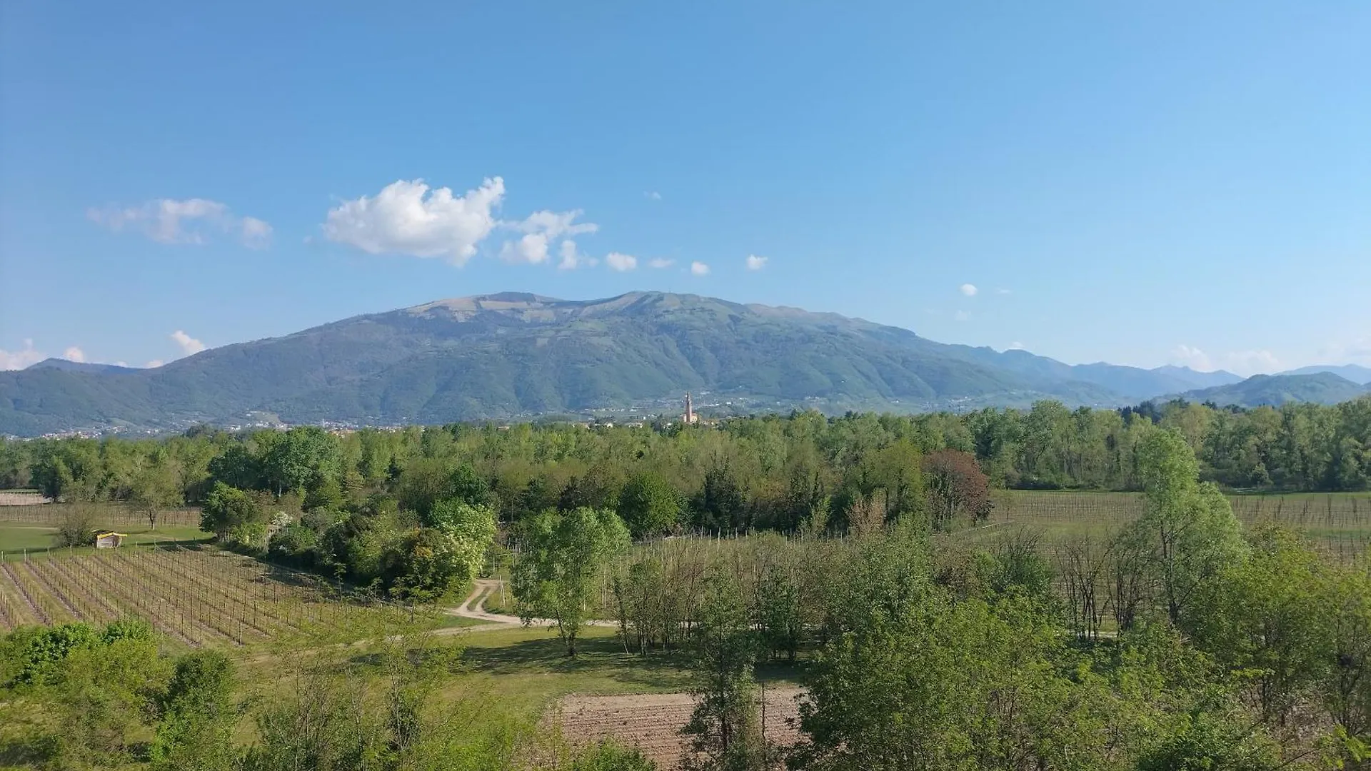 B&B Terre Di Bea Pederobba