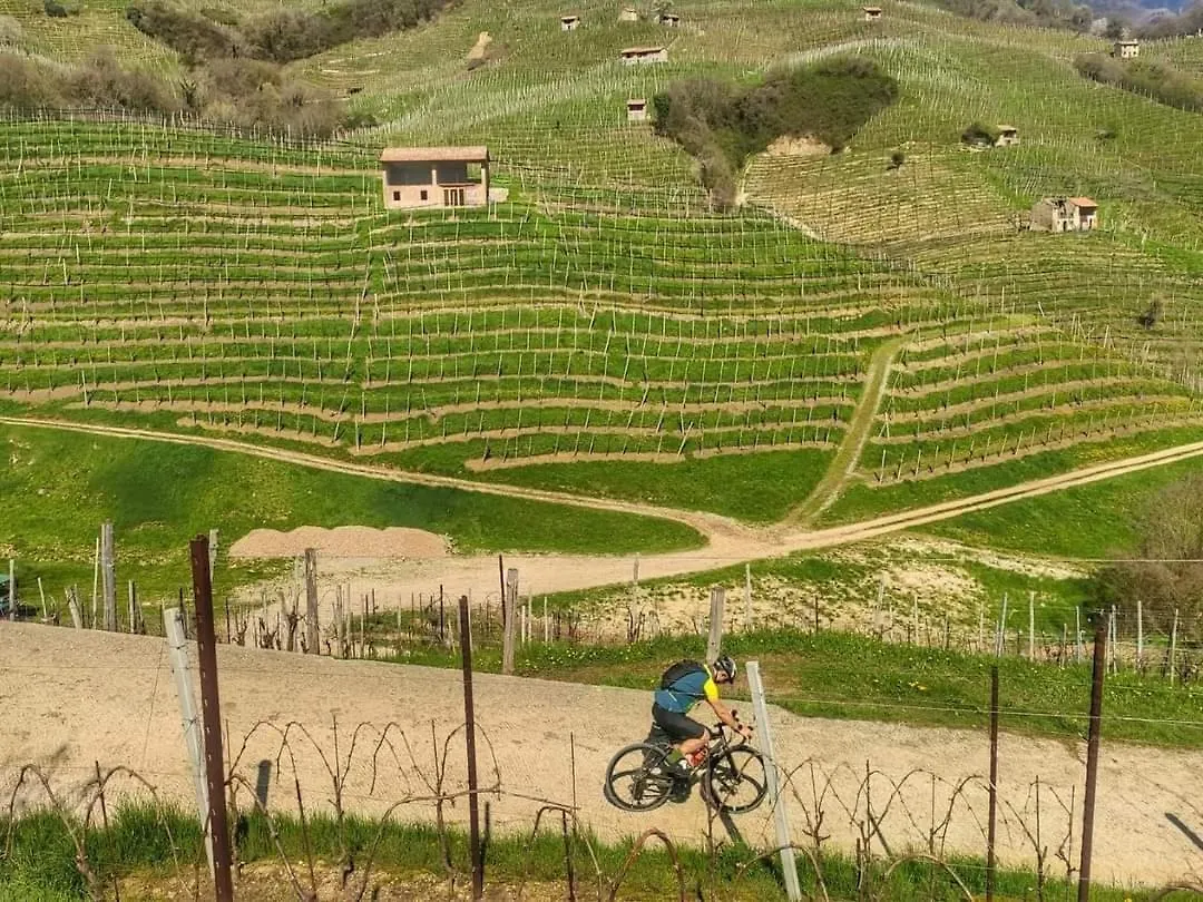 B&B Terre Di Bea Pederobba 0*,  Italien