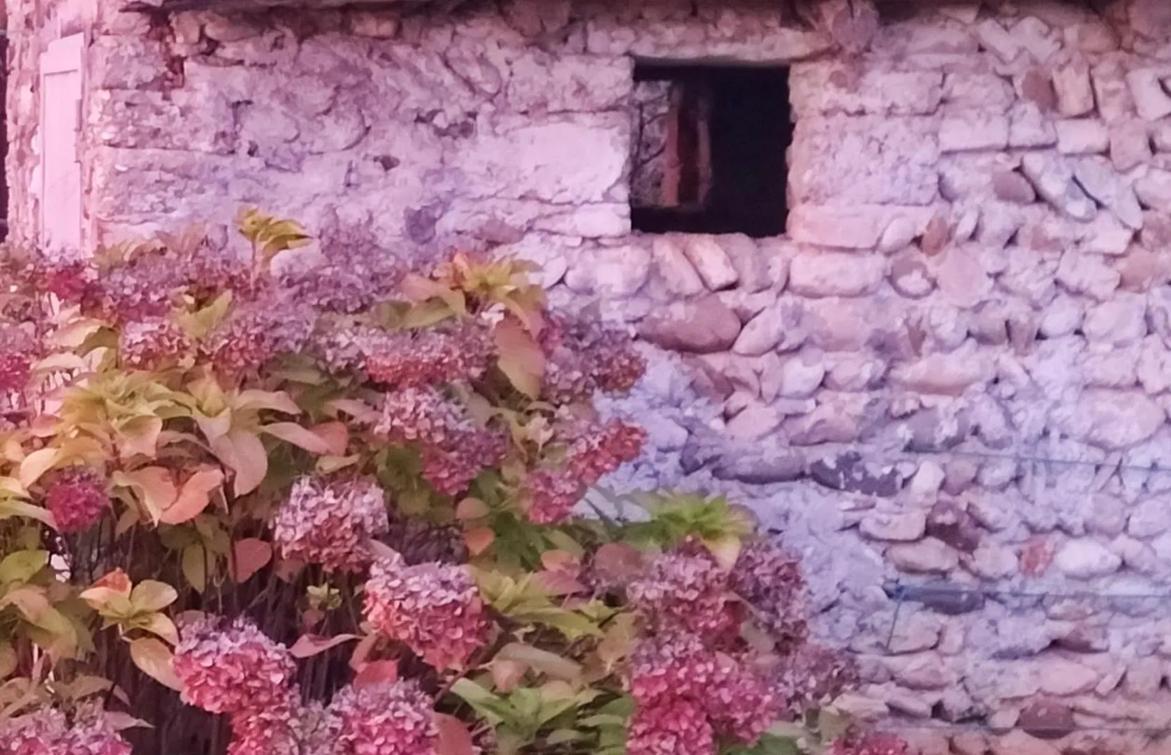Frühstückspension B&B Terre Di Bea Pederobba Italien