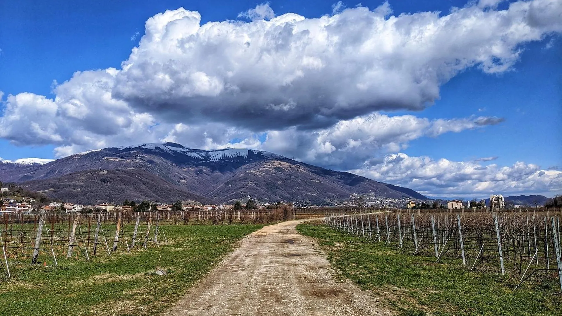 B&B Terre Di Bea Pederobba Italien